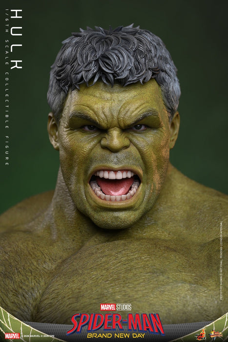 Hot toys Movie Masterpiece Series: Spiderman Brand New Day - Hulk Salvaje Escala 1/6