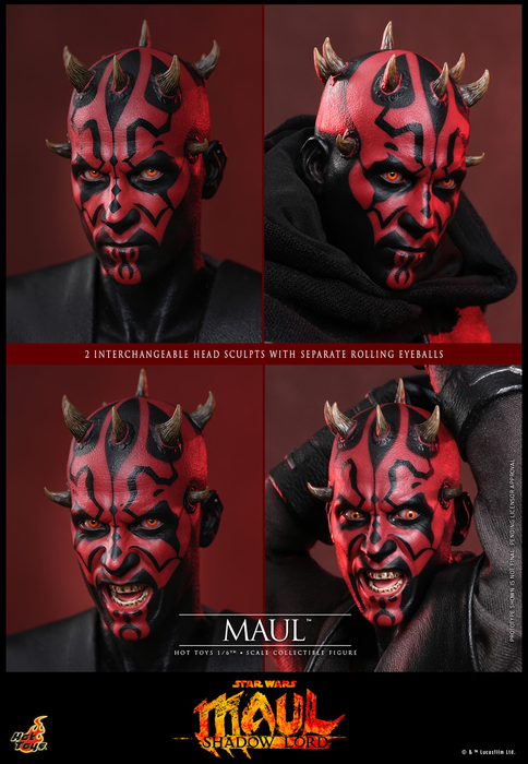 Hot Toys Movie Masterpiece Series: Star Wars Maul Shadow Lord - Maul Escala 1/6