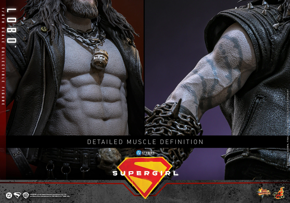 Hot Toys Movie Masterpiece Series: DC Supergirl - Lobo Escala 1/6