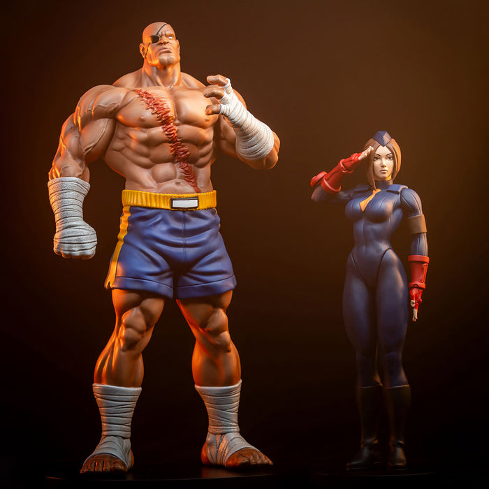 PCS Statue: Street Fighter  - Sagat y Juli Escala 1/10