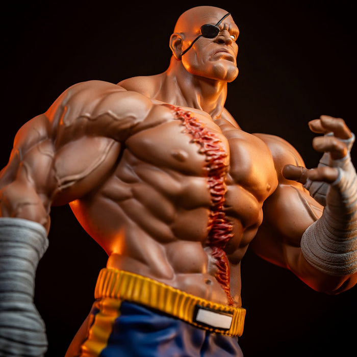 PCS Statue: Street Fighter  - Sagat y Juli Escala 1/10