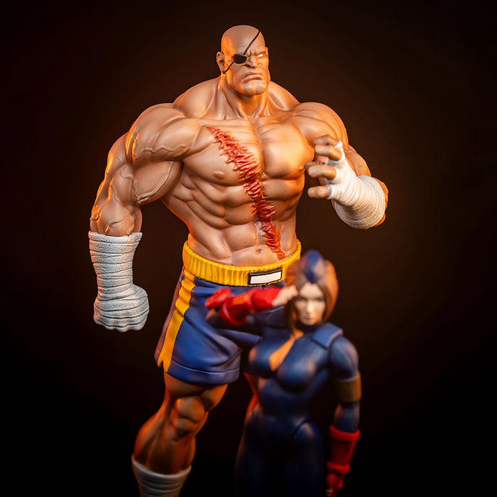 PCS Statue: Street Fighter  - Sagat y Juli Escala 1/10