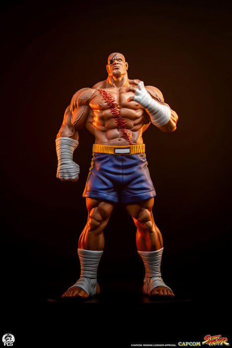 PCS Statue: Street Fighter  - Sagat y Juli Escala 1/10