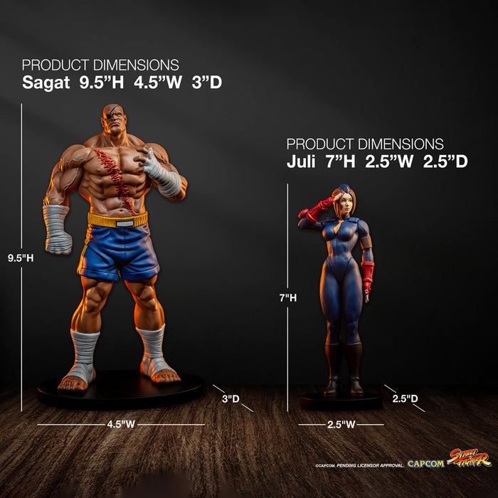 PCS Statue: Street Fighter  - Sagat y Juli Escala 1/10