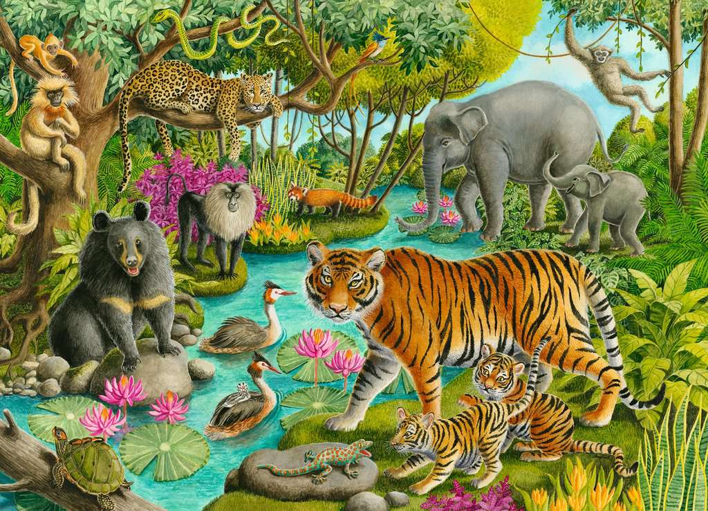 Ravensburger Rompecabezas: Los animales de India 60 piezas