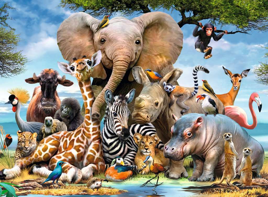 Ravensburger Rompecabezas: Animales de Africa Kids XXL 300 piezas