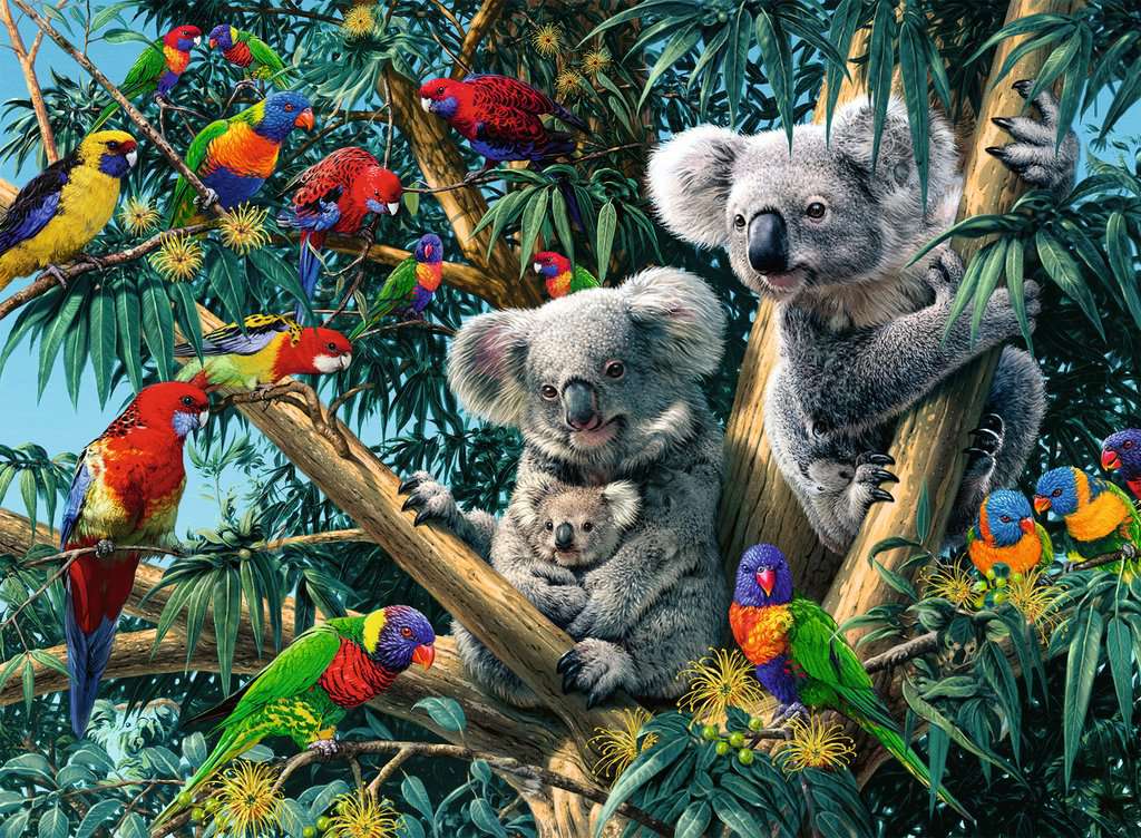 Ravensburger Rompecabezas Adultos: Koalas en el Arbol 500 piezas