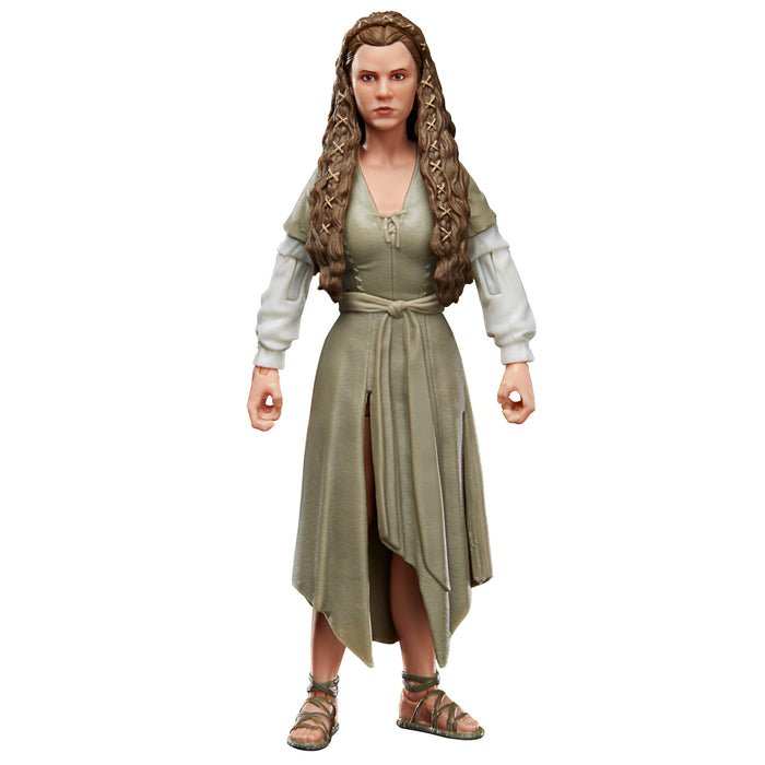 Star Wars The Black Series: Episodio 6 -  Princesa Leia Aldea Ewok